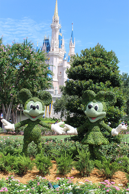 Mickey and Minnie looking a little green at Disney